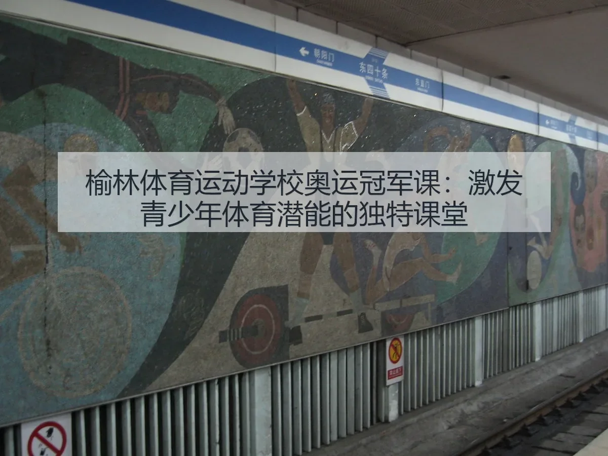 榆林体育运动学校奥运冠军课：激发青少年体育潜能的独特课堂