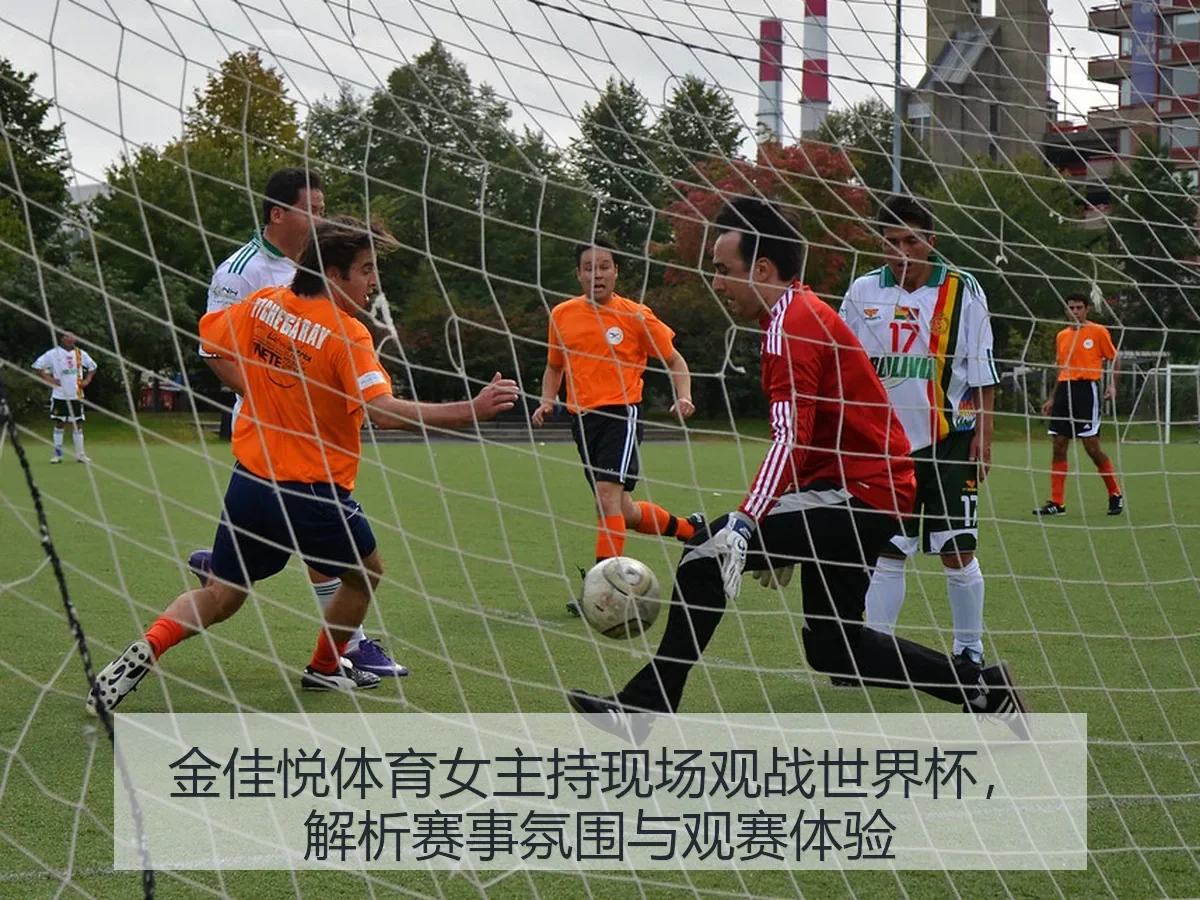 金佳悦体育女主持现场观战世界杯，解析赛事氛围与观赛体验