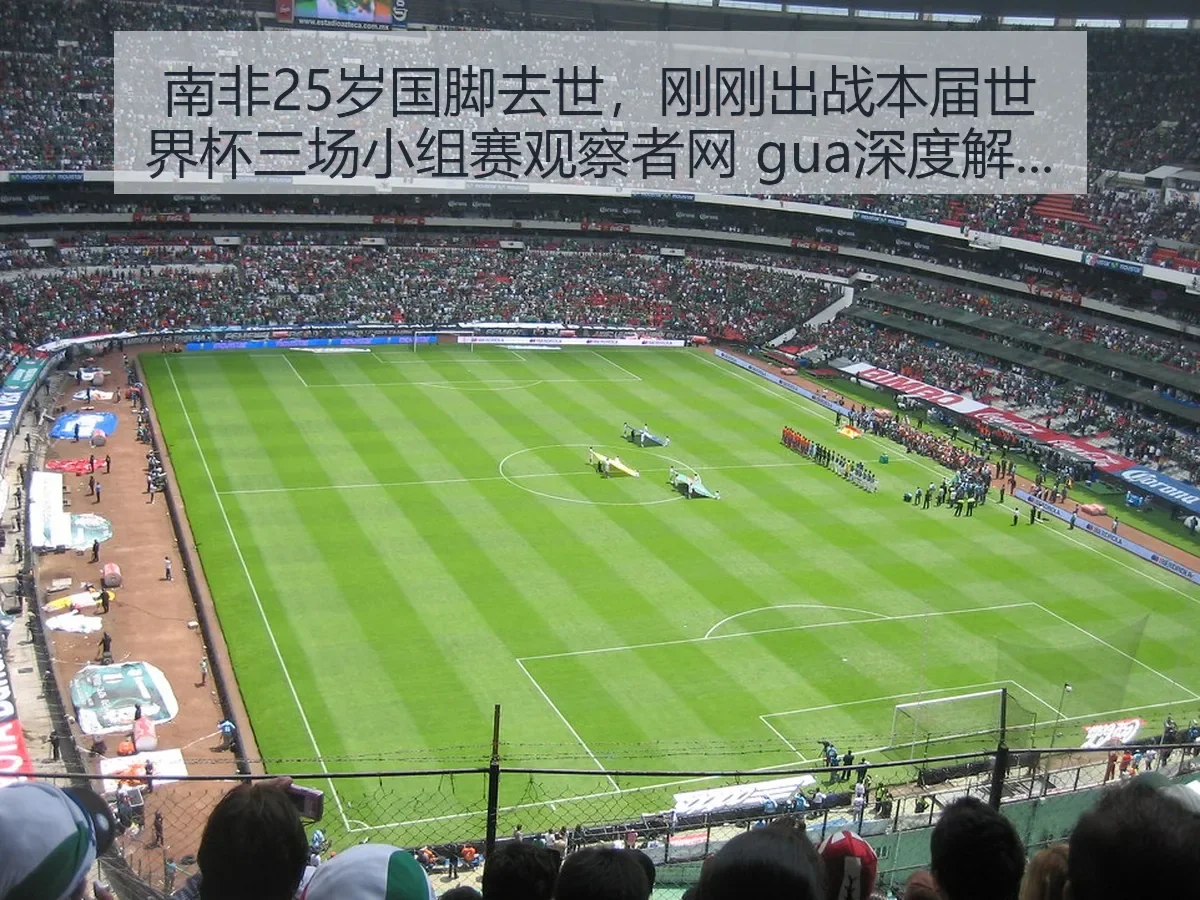 南非25岁国脚去世，刚刚出战本届世界杯三场小组赛观察者网 gua深度解析